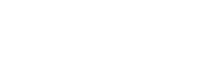 Unizar