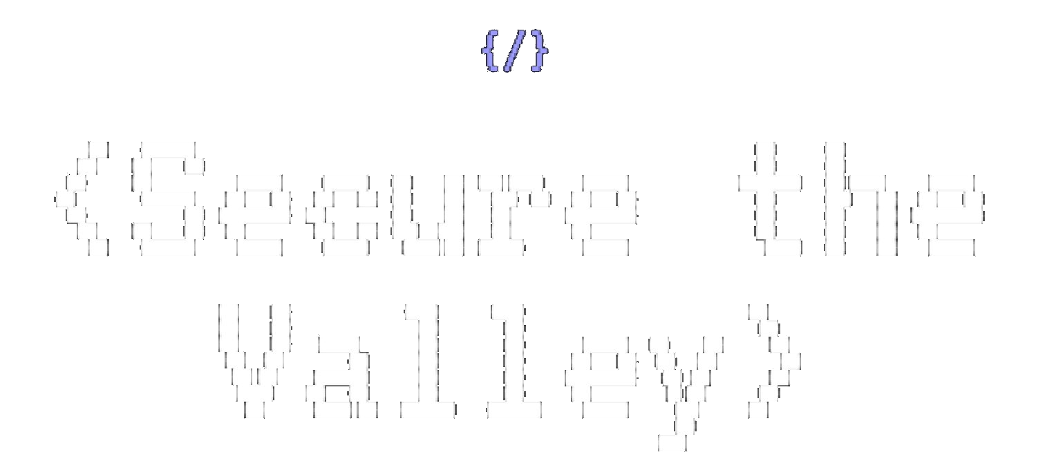 Secure The Valley